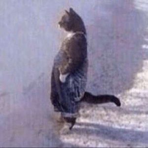 Meet your Posher, Hong